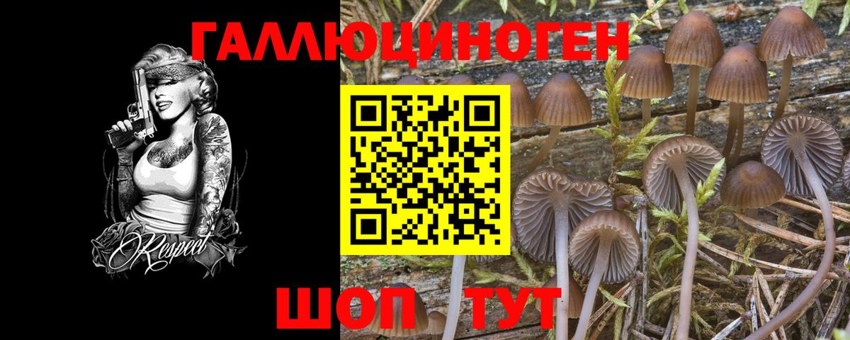 Галлюциногенные грибы мухоморы Каменск-Шахтинский